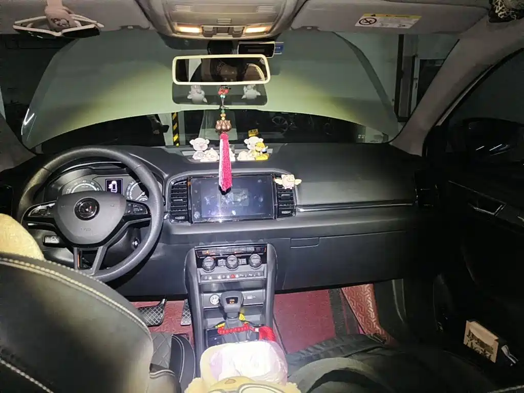 صورة 12 - Škoda Karoq