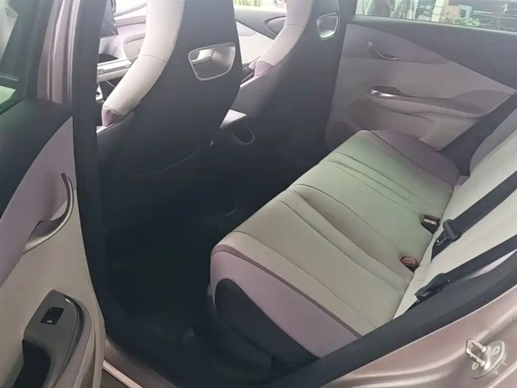 BYD Dolphin 2021 Model 405km Fashion Edition фото 17
