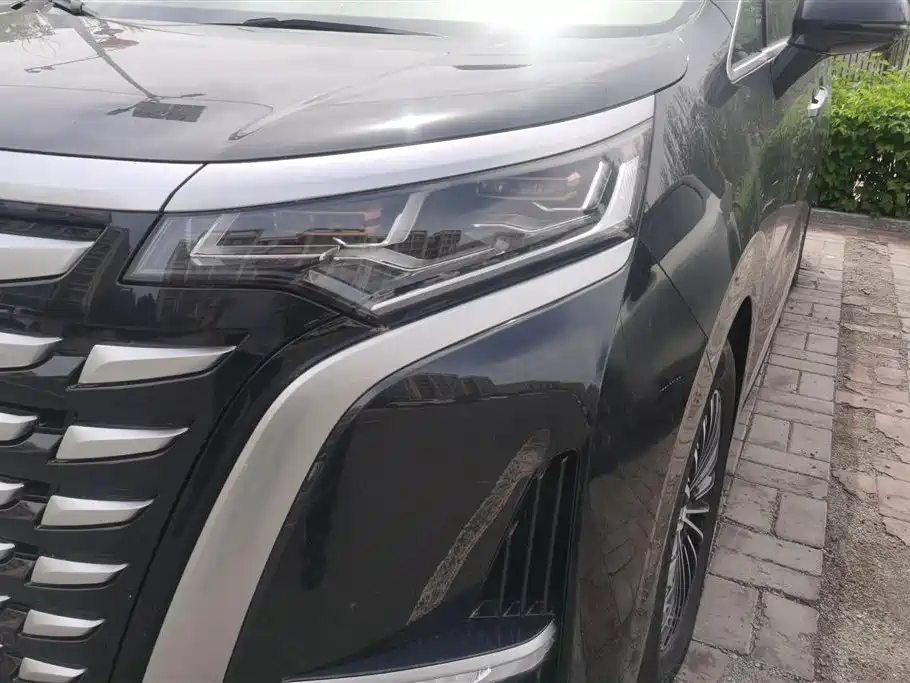 Denza D9 2022 DM-i 1040 Premium фото 5