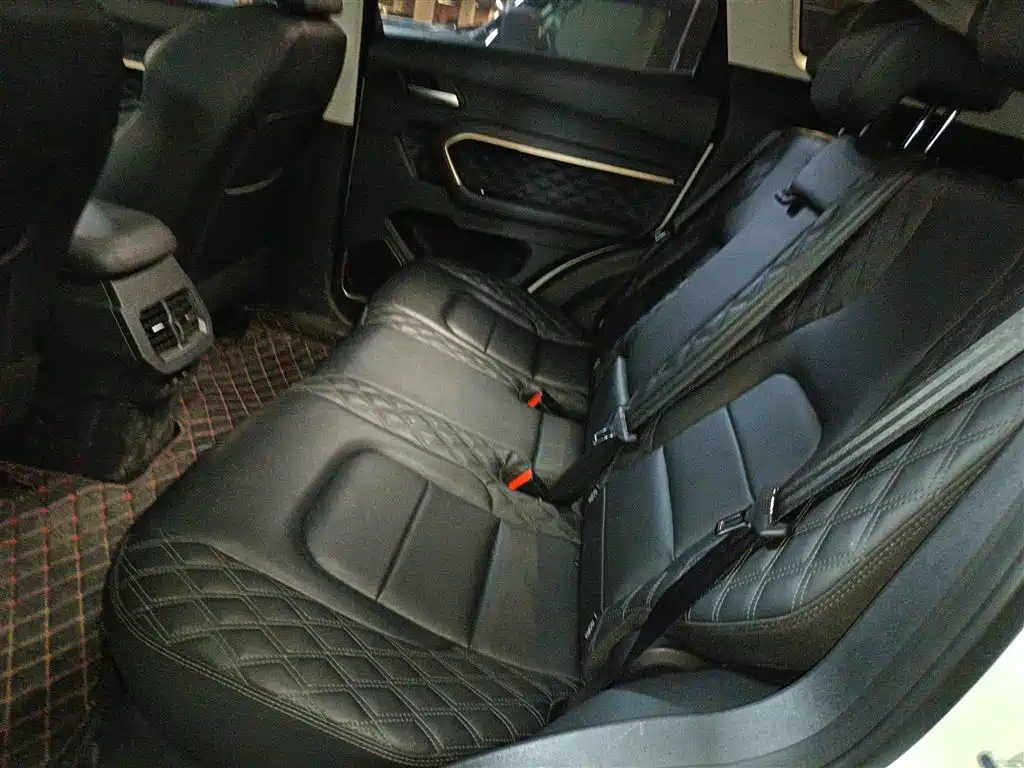 Haval H6 2020 2.0GDIT Automatic Platinum Champion Edition фото 13