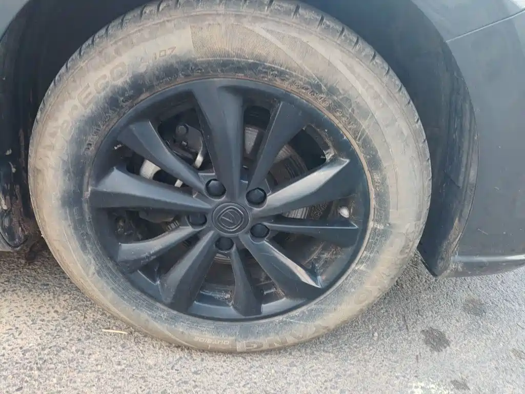Photo 24 - Changan Eado