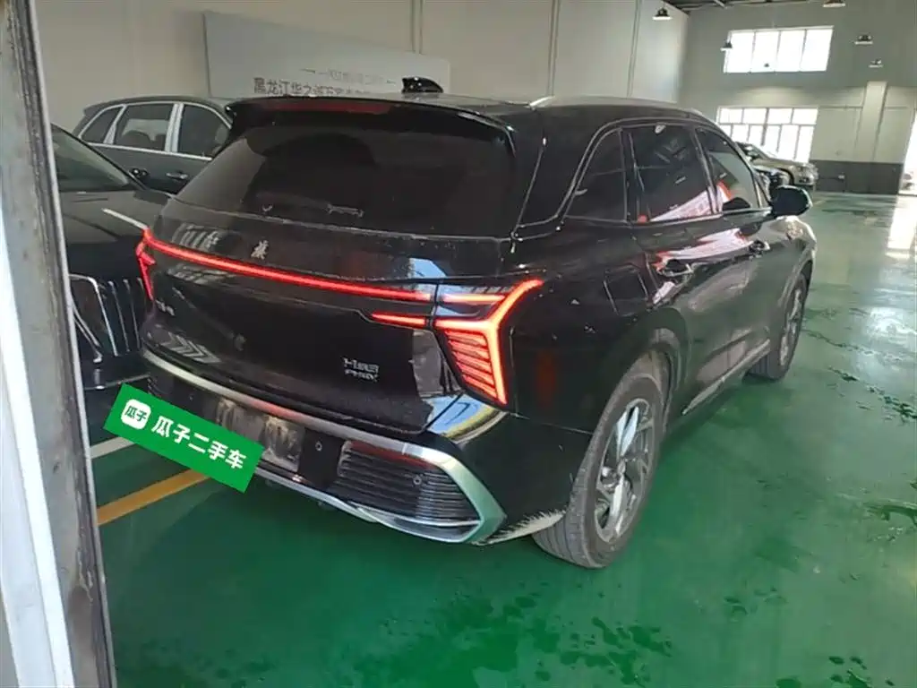 Hongqi HS3 PHEV 2024 PHEV 115km Power Edition фото 7