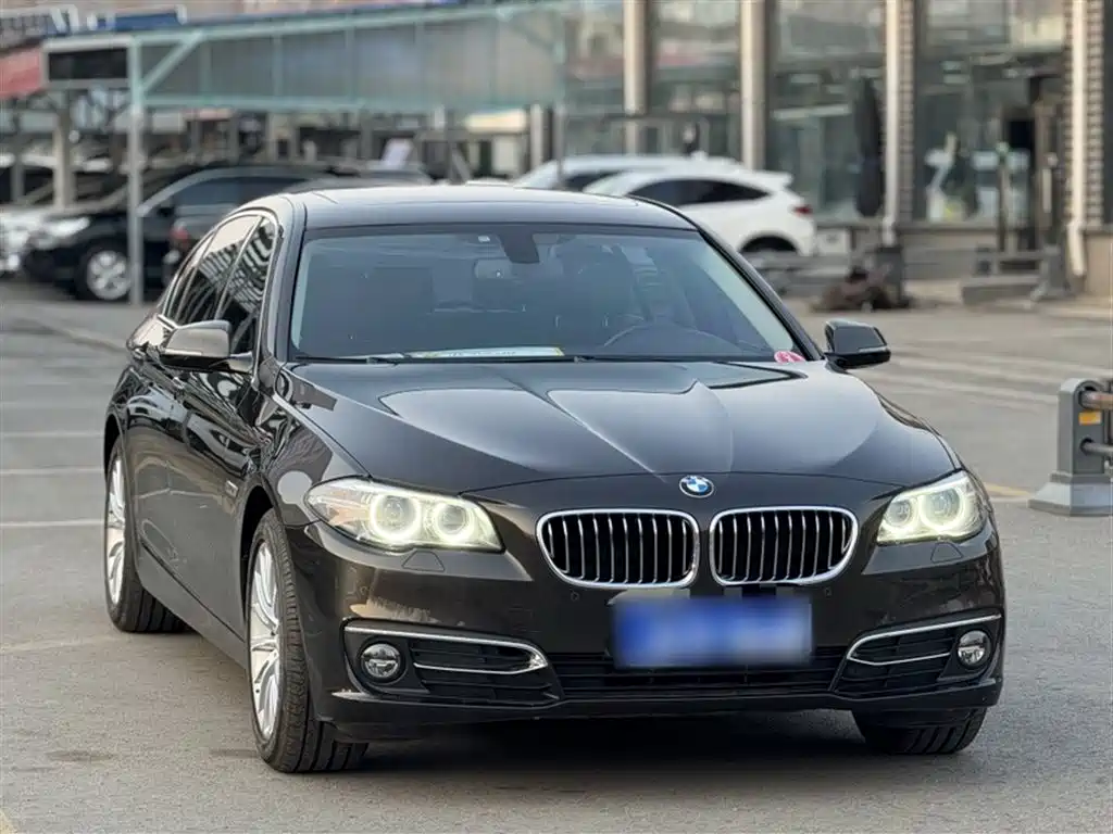 BMW 5 Series 2017 525Li Luxury Design Package фото 23