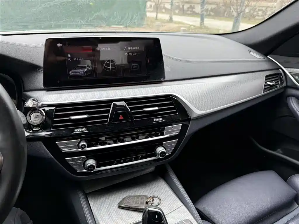 BMW 5 Series (Import) 2019 Facelift 525i M Sport Package фото 6