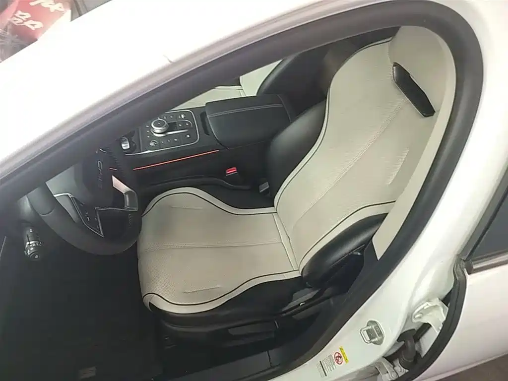 BYD Destroyer 05 2024 Glory Edition DM-i 55KM Luxury фото 15