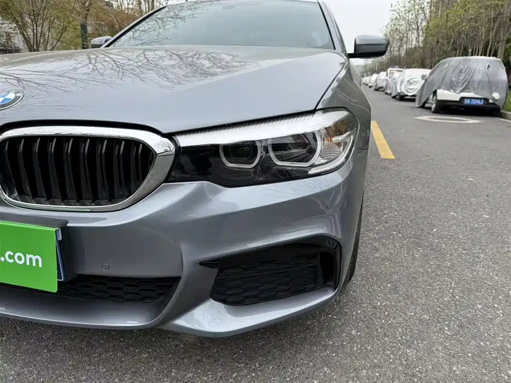 BMW 5 Series (Import) 2019 Facelift 525i M Sport Package фото 16