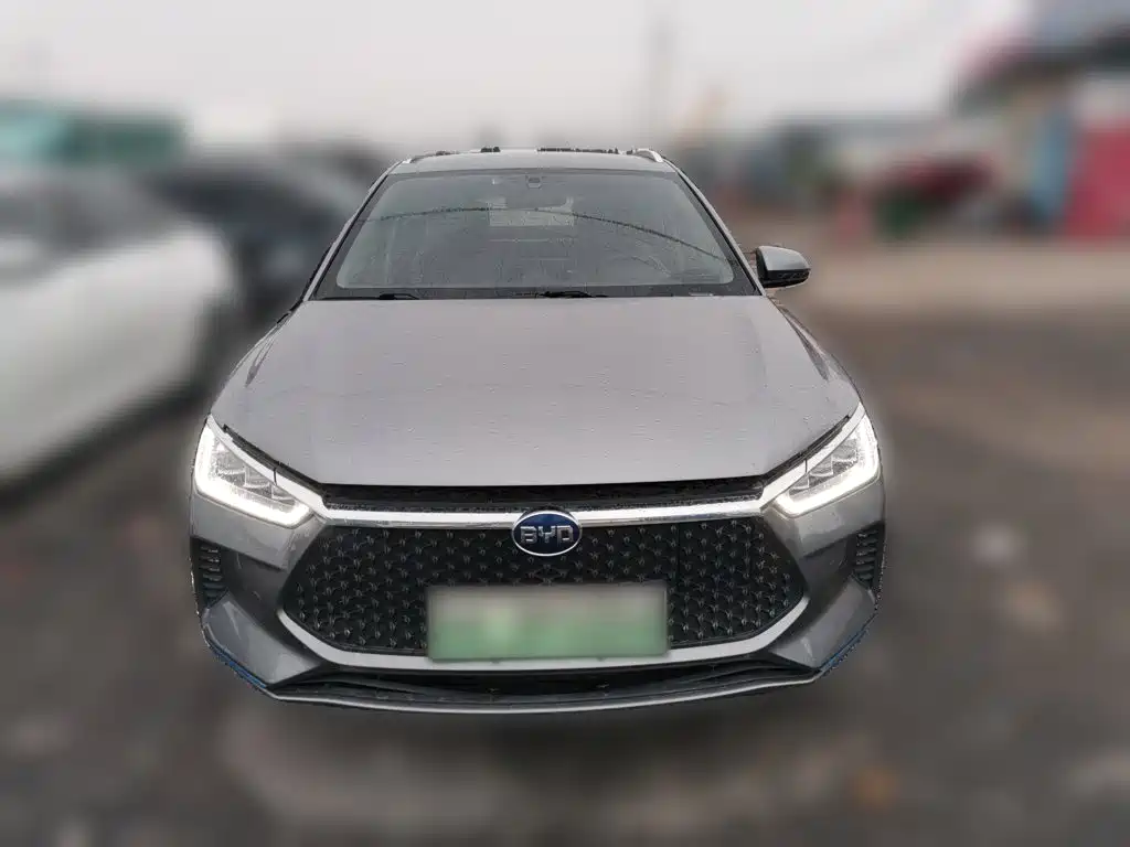 BYD e2 2022 2021 Luxury Edition