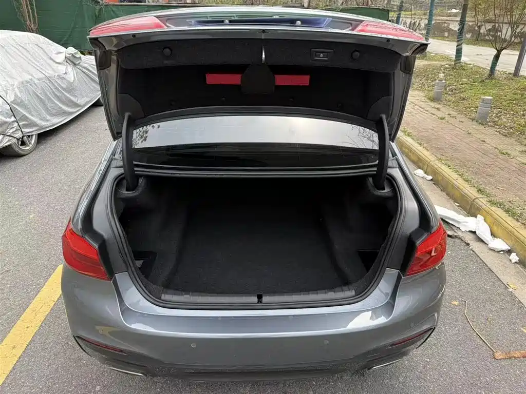 BMW 5 Series (Import) 2019 Facelift 525i M Sport Package фото 10