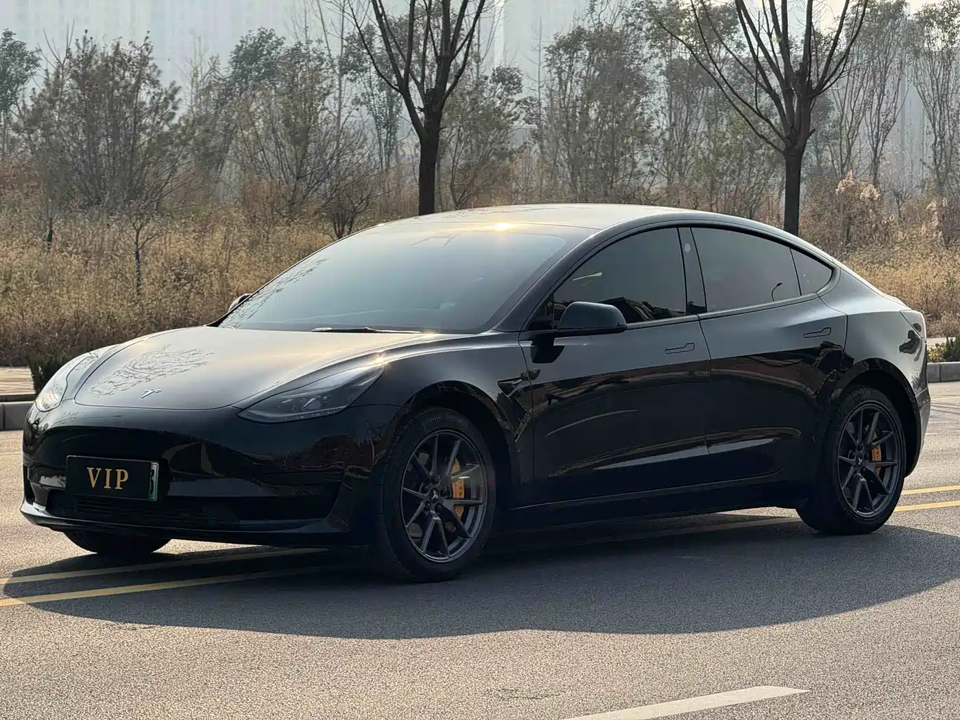 Tesla Model 3 2022 Model Rear-Wheel Drive Version