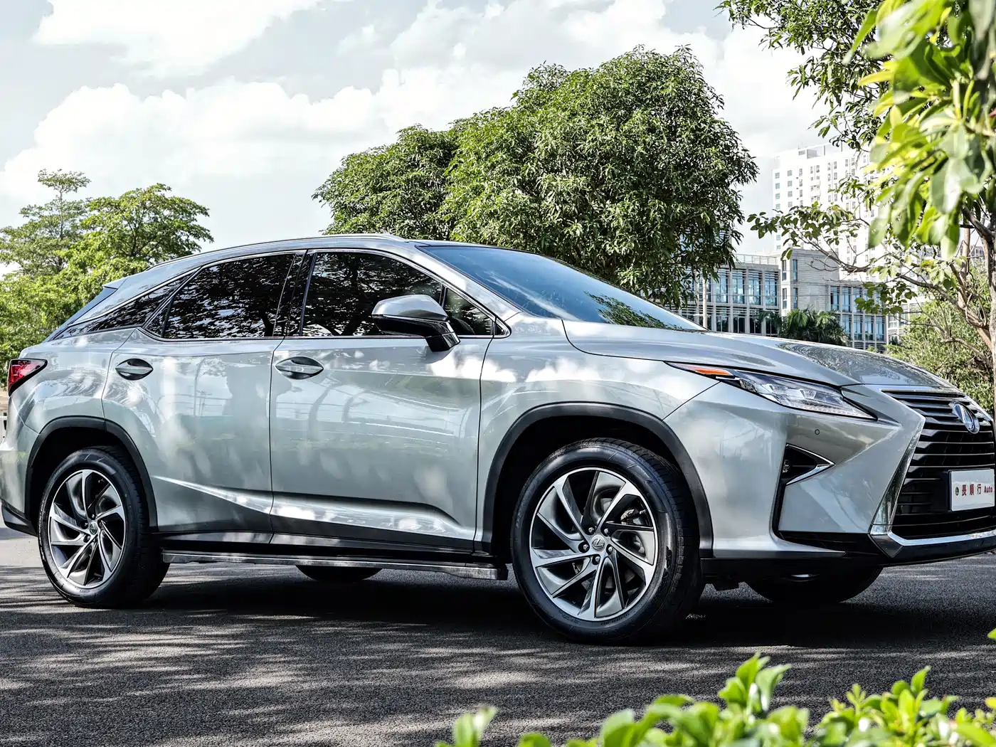 Lexus RX 2016 300 4WD Elegance Edition (China V) фото 8