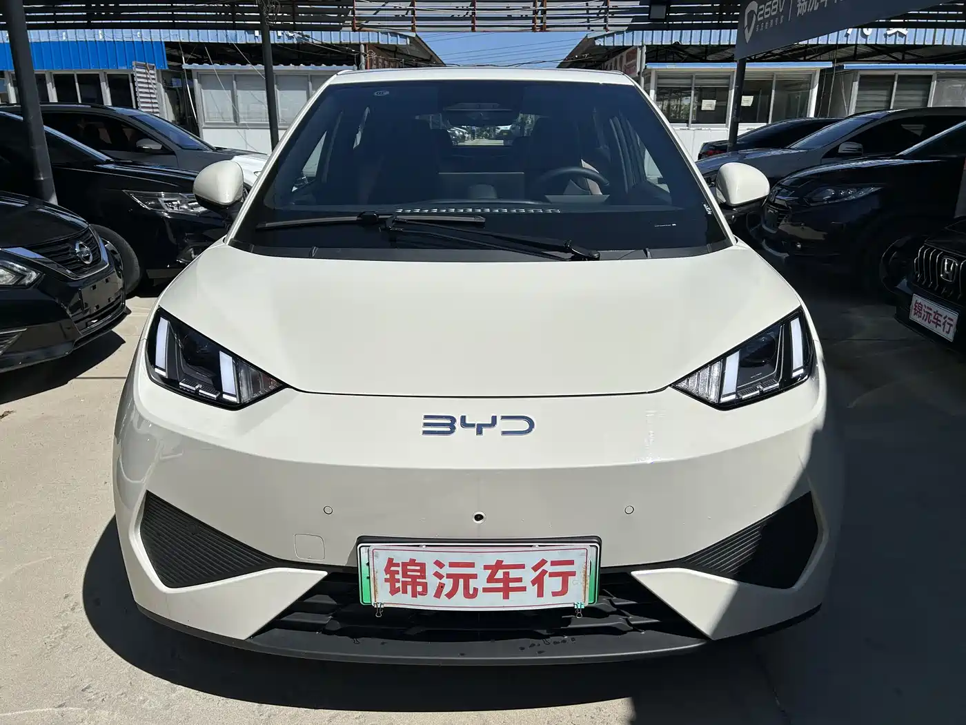 BYD Seagull 2025 Smart Drive Edition 305km Freedom Version фото 2
