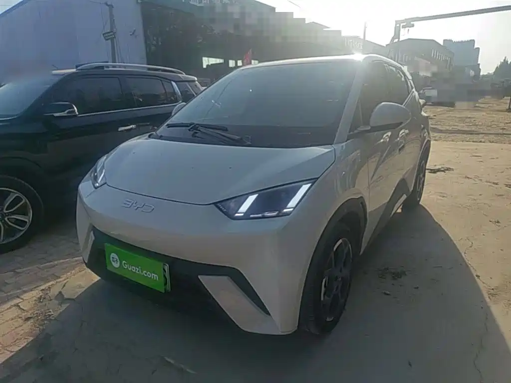 BYD Seagull 2025 305km Freedom