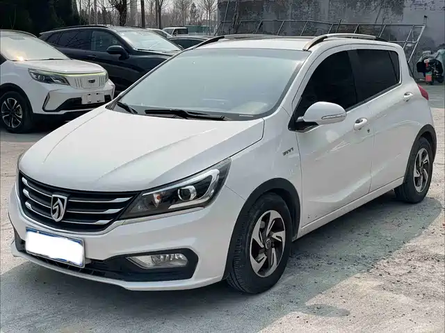 BAOJUN 310