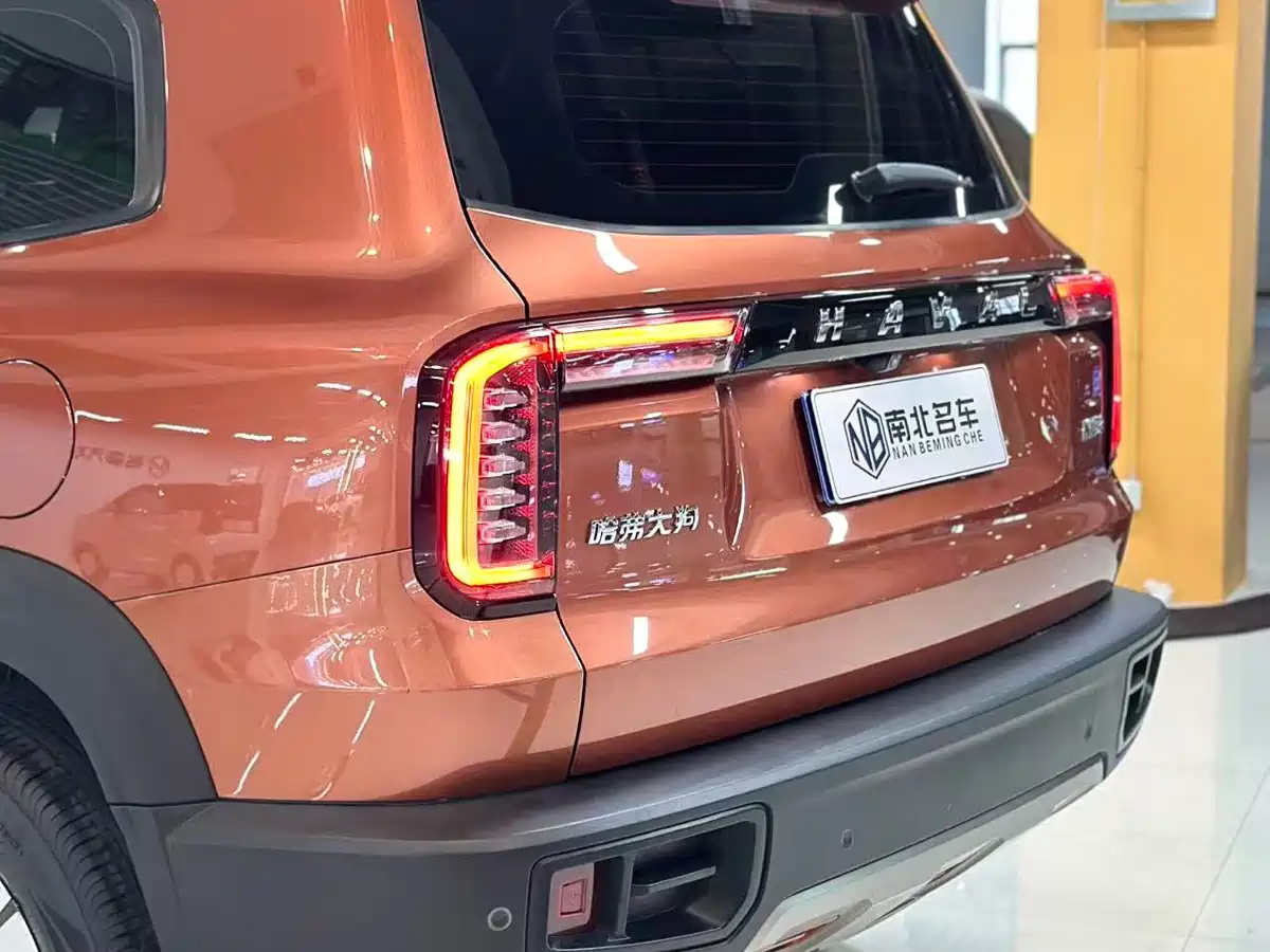 Haval Big Dog 2021 1.5T DCT 2WD Labrador Edition фото 18