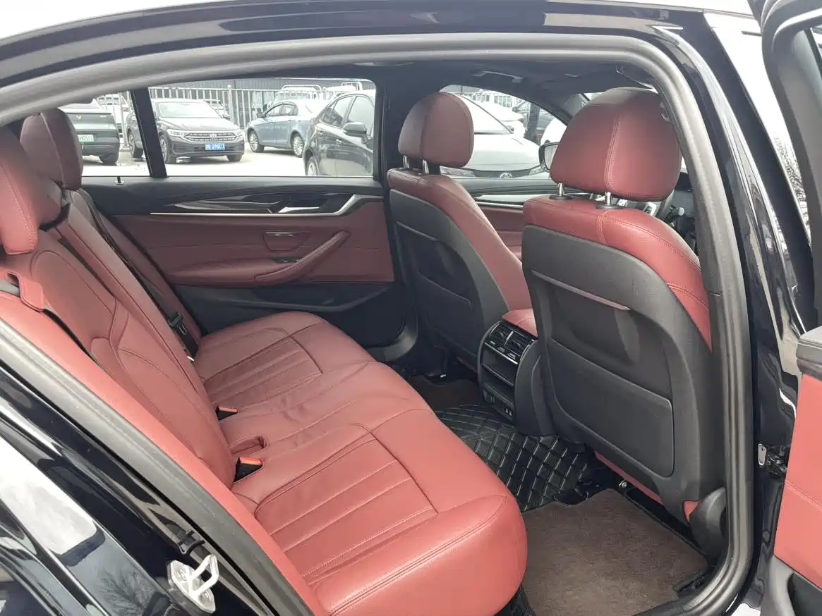 BMW 5 Series 2020 530Li Leading M Sport Package фото 7