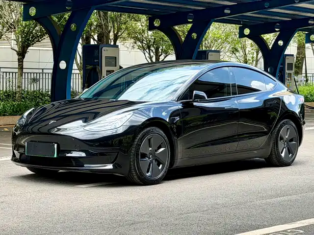 Tesla Model 3 Задний привод