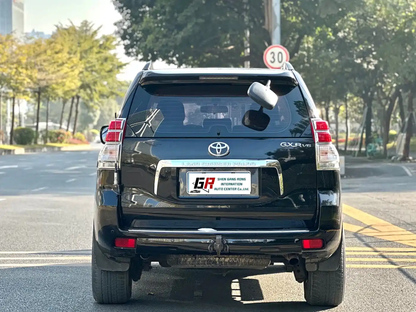 Toyota Prado (Import) 2010 2.7L Auto Luxury фото 12