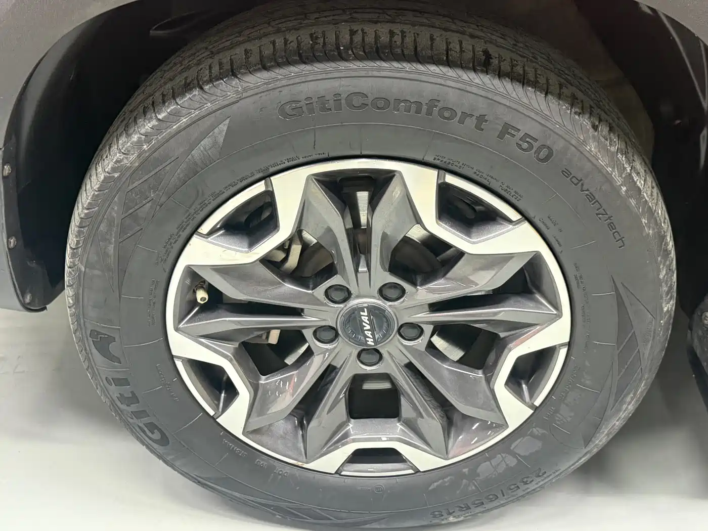 Haval Big Dog 2021 2.0T DCT 4WD Chinese Rural Dog Edition фото 26