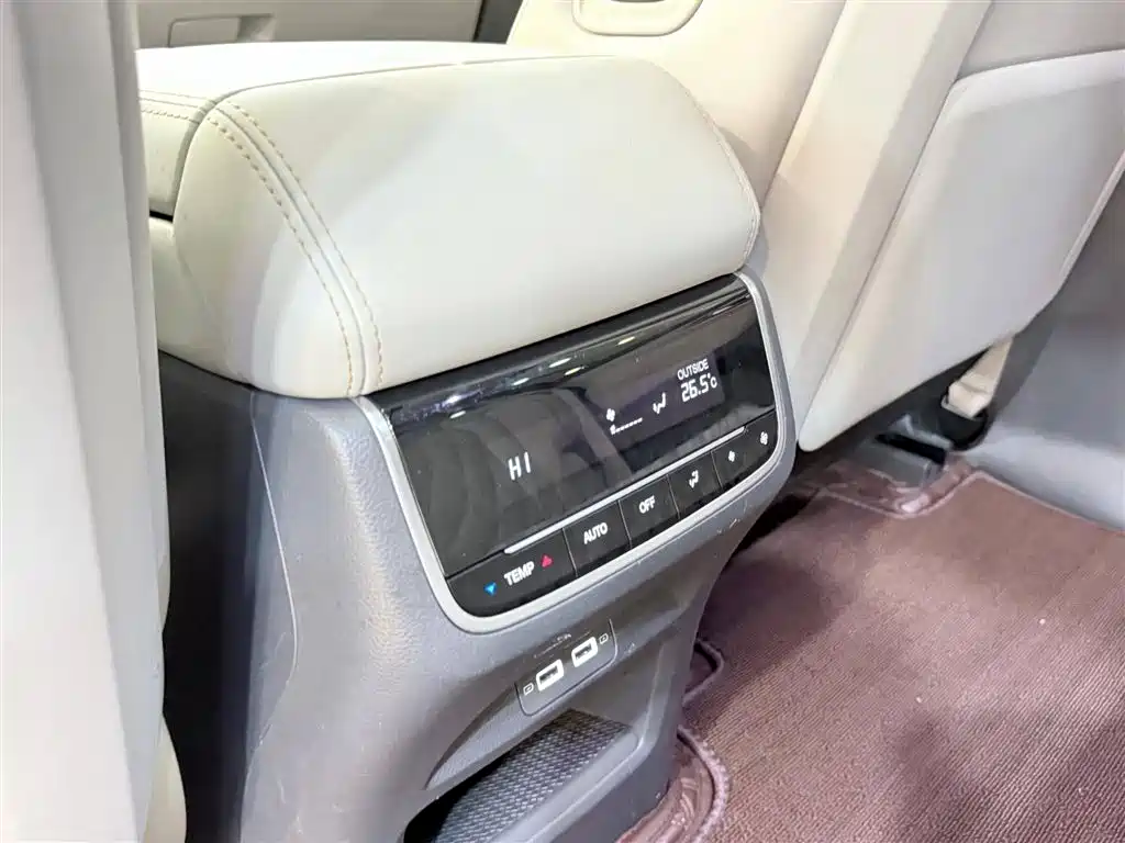 GAC Trumpchi Trumpchi GS8 2022 Pilot Series 2.0TGDI 2WD Premium Edition (7-Seater) фото 16