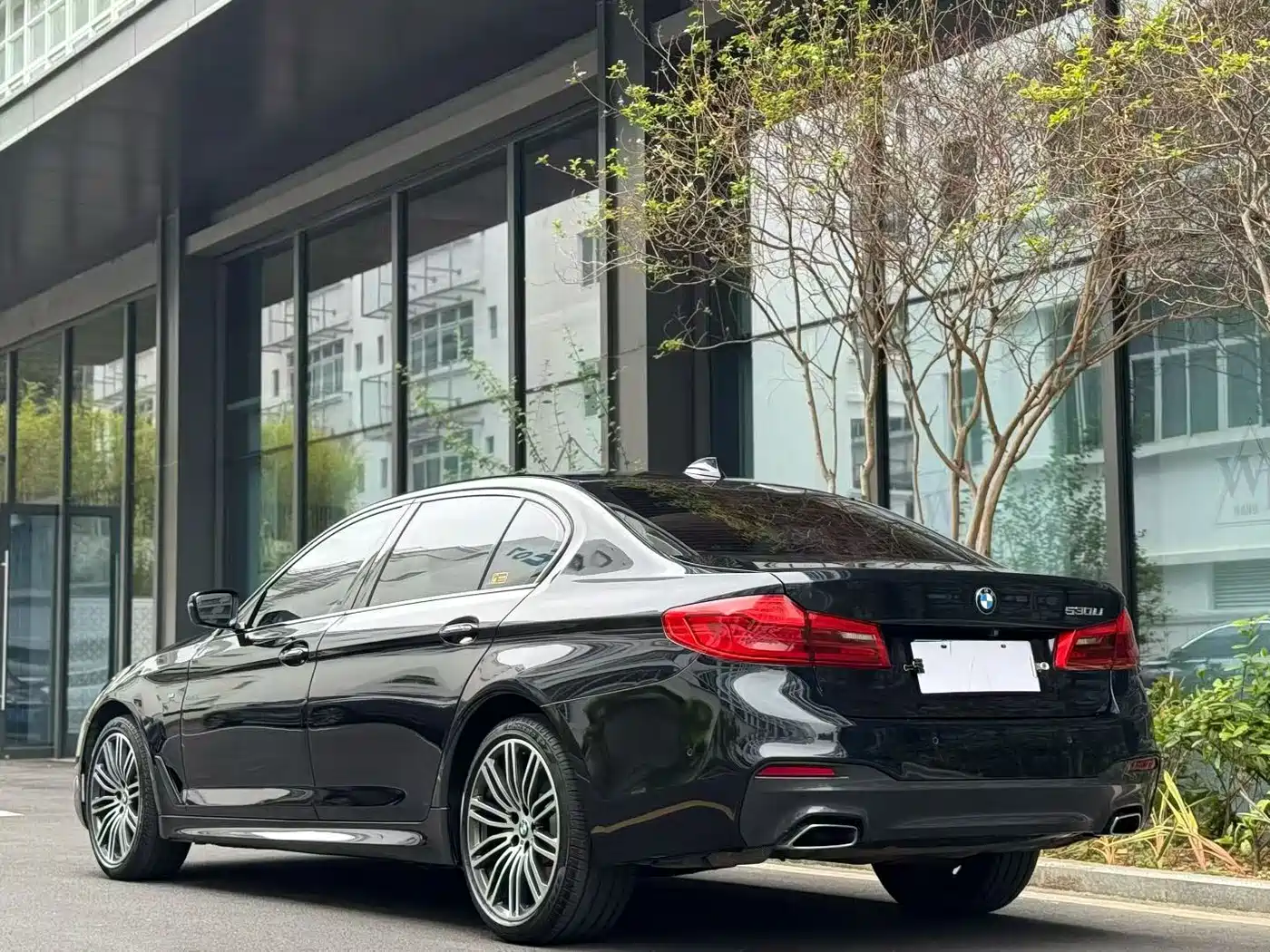 BMW 5 Series 2018 Facelift 530Li Leading M Sport Package фото 14