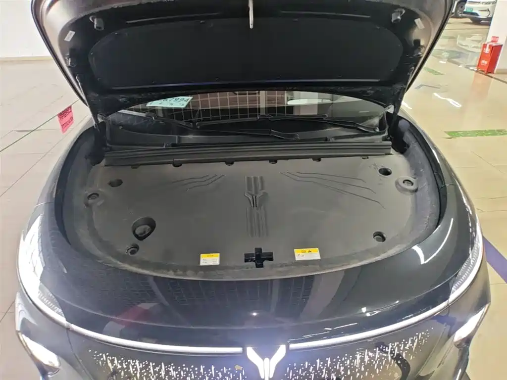 Voyah Auto Voyah Zhiyin 2025 Base фото 20
