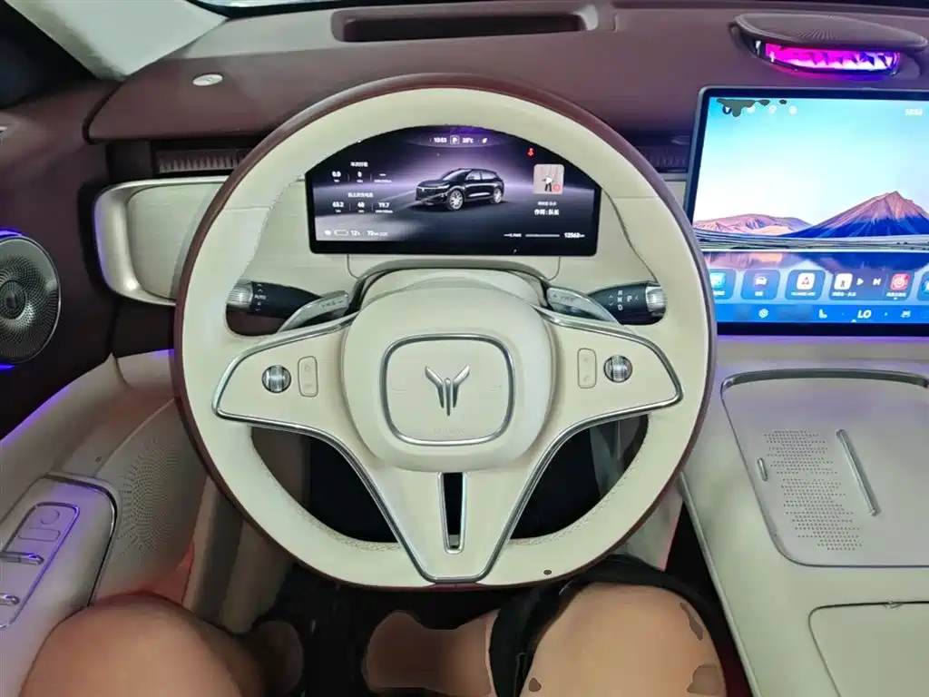 Voyah Auto Voyah Zhiyin 2025 Base фото 11