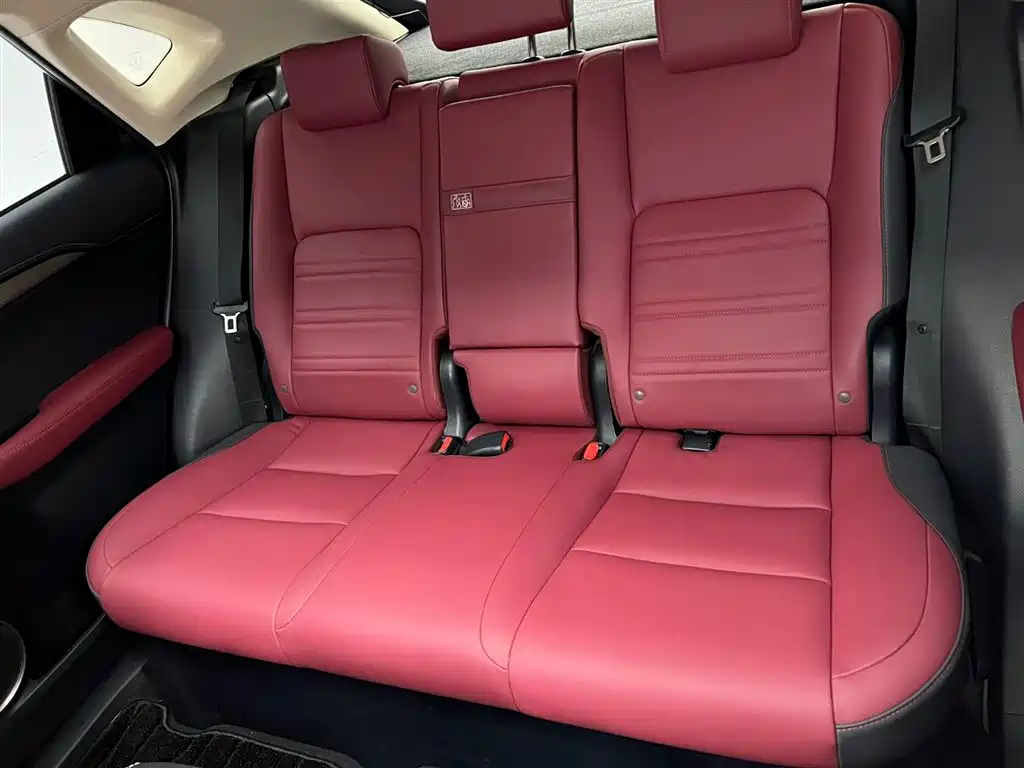 Lexus NX 2020 200 AWD F Sport China VI фото 20