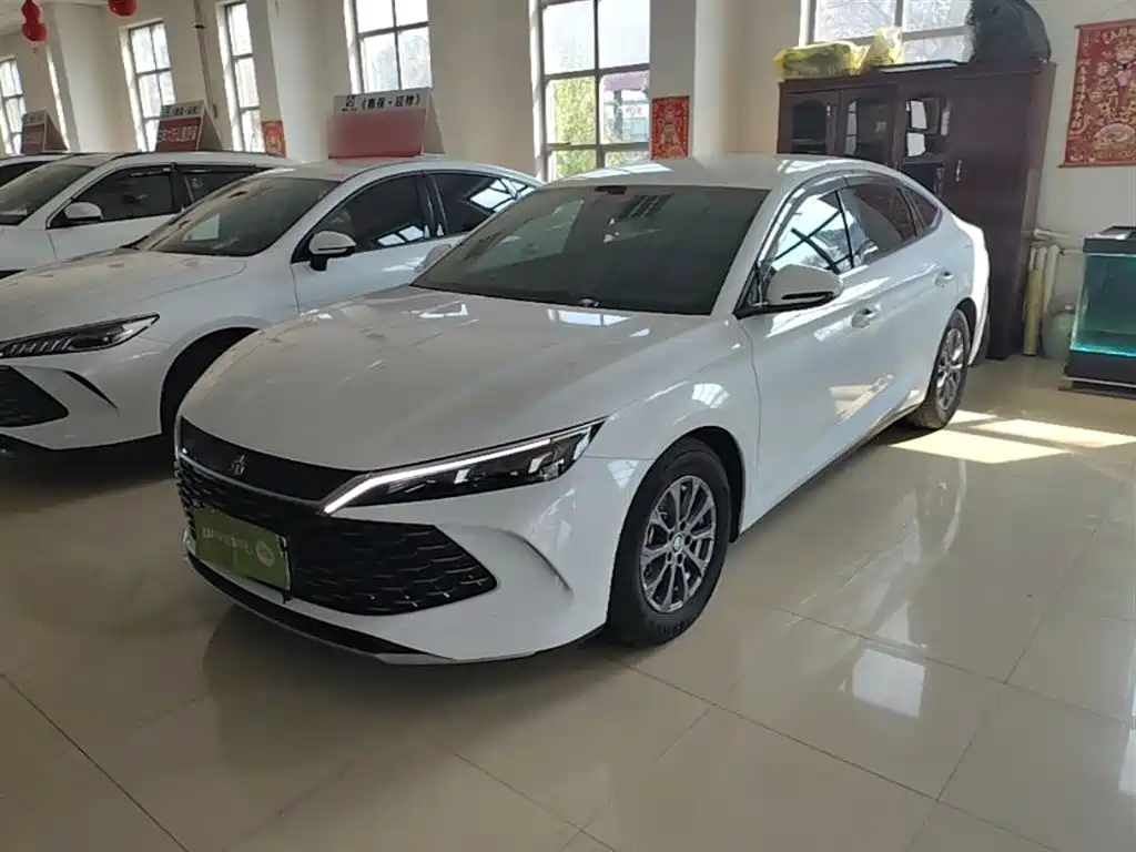 BYD Qin L 2024 DM-i 80KM Leading Edition