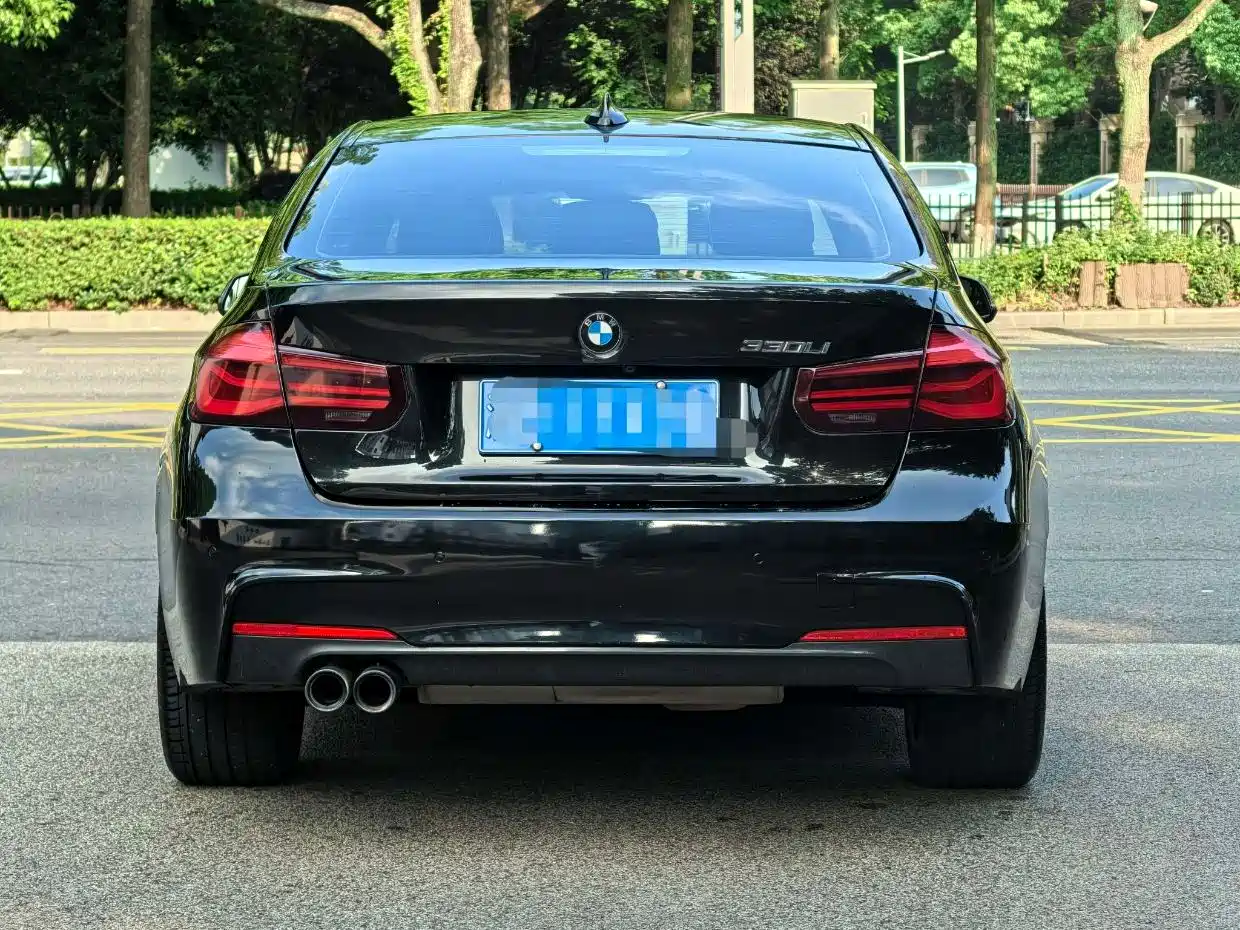BMW 3 Series 2018 320Li M Sport Black Night Edition фото 9