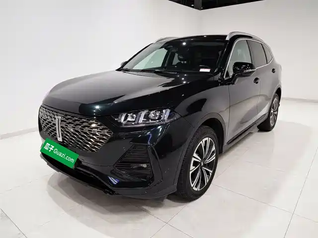  WEY Wey Latte DHT 2022 1.5T DHT Medium