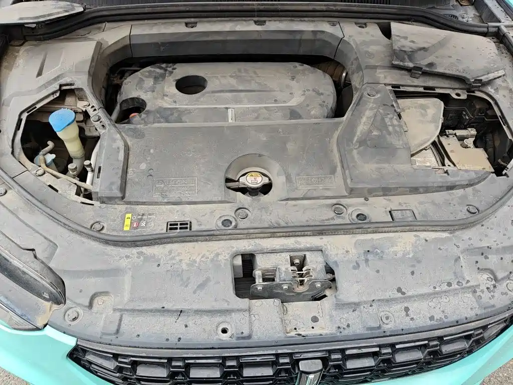 WEY VV5 2019 2017 2.0T Flagship Model