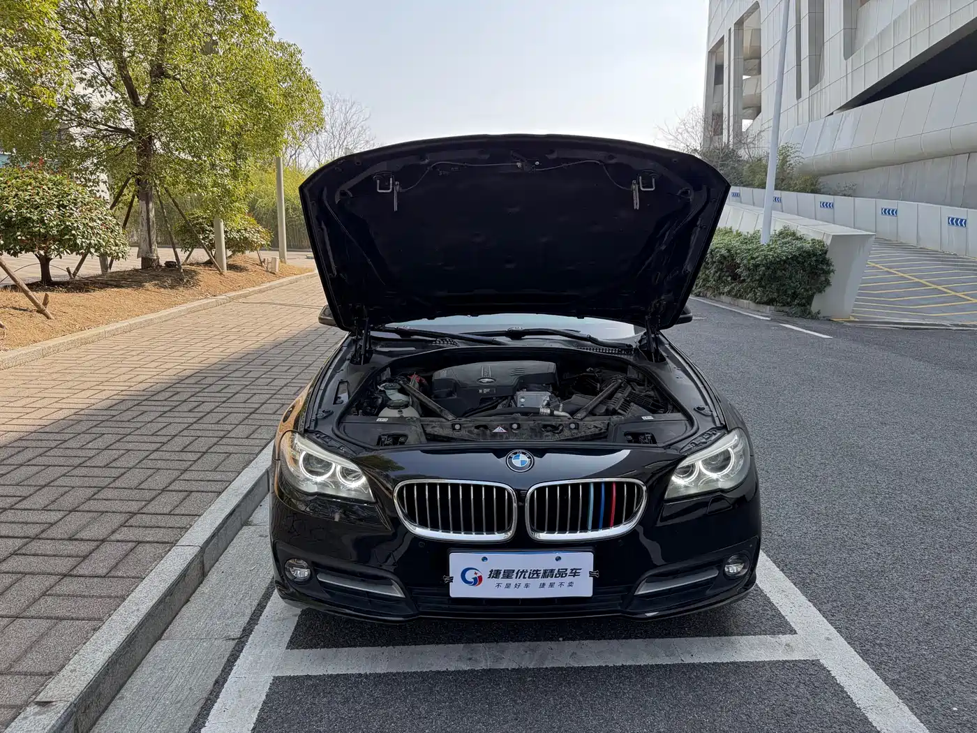 BMW 5 Series 2014 520Li Elegance фото 9