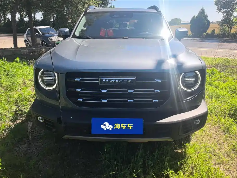 Haval Big Dog 2021 1.5T DCT 2WD Border Collie Edition фото 2