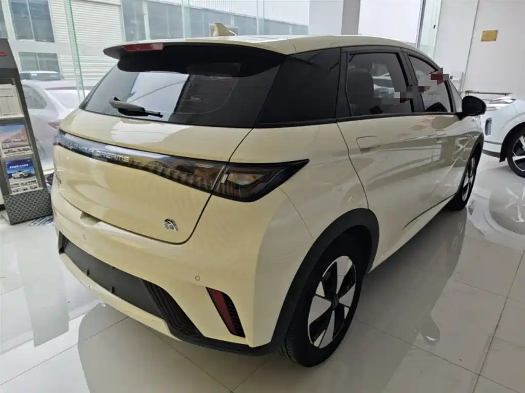 BYD Dolphin 2023 420km Fashion Edition фото 7