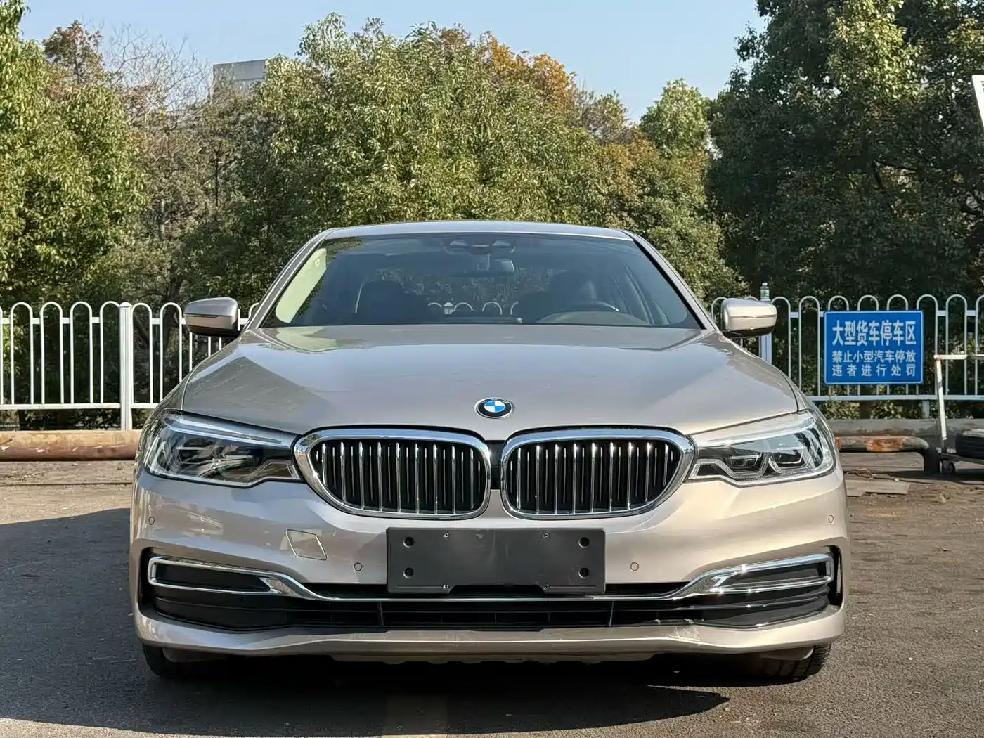 BMW 5 SERIES NEW ENERGY