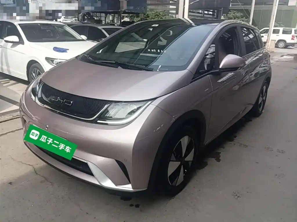 BYD Dolphin 2023 420km Fashion Edition фото 2