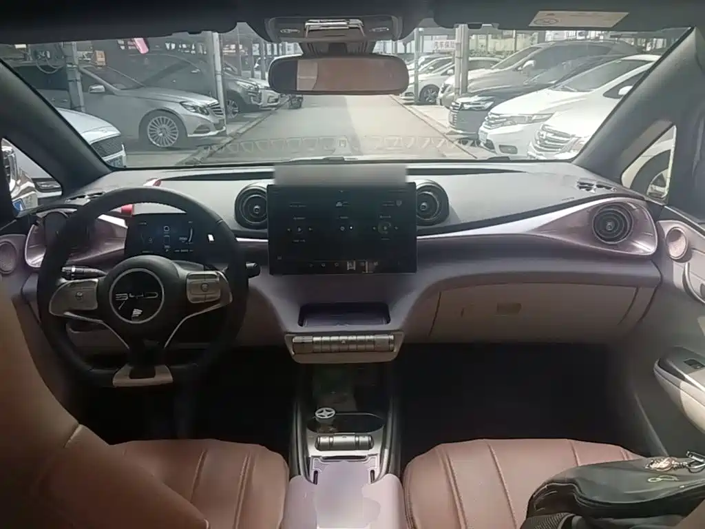 BYD Dolphin 2023 420km Fashion Edition фото 10