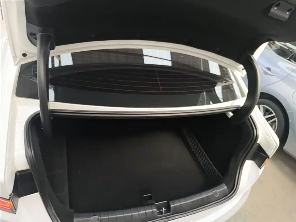 BYD Destroyer 05 2022 DM-i 120KM Premium фото 19