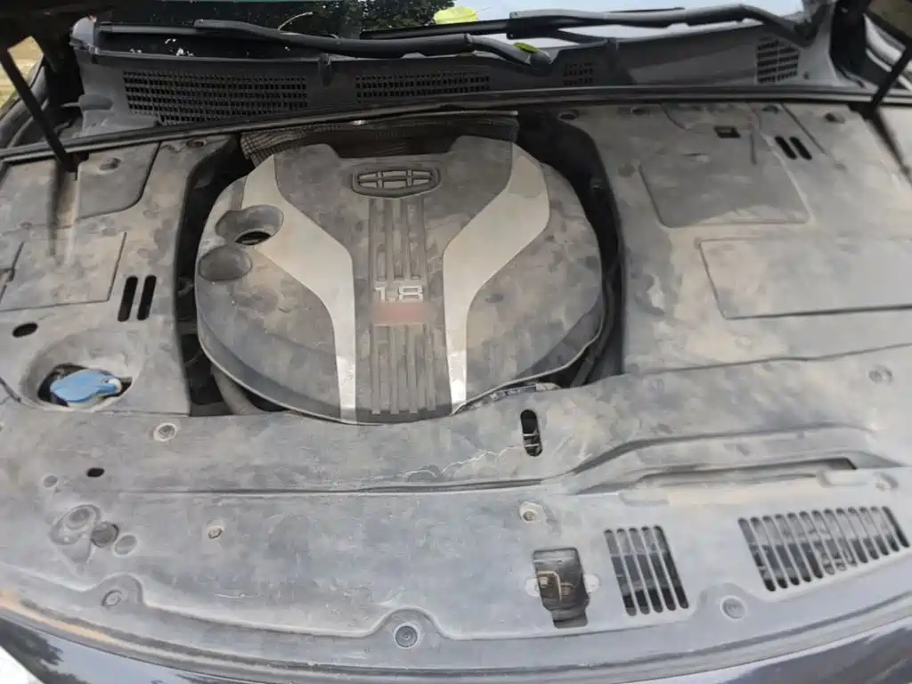 Фото 20 - Geely Borui