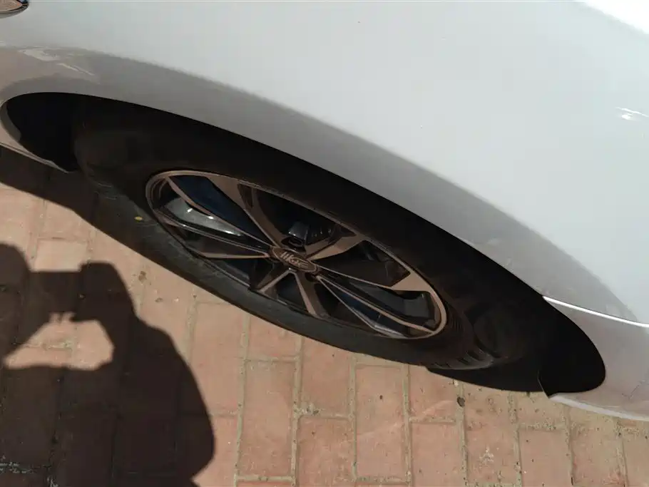 BYD Qin PLUS 2024 Glory Edition DM-i 55KM Leading фото 6