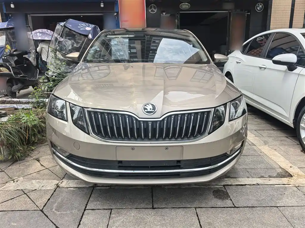 Škoda Octavia 2019 1.5L Automatic Smart Luxury Edition China V фото 3