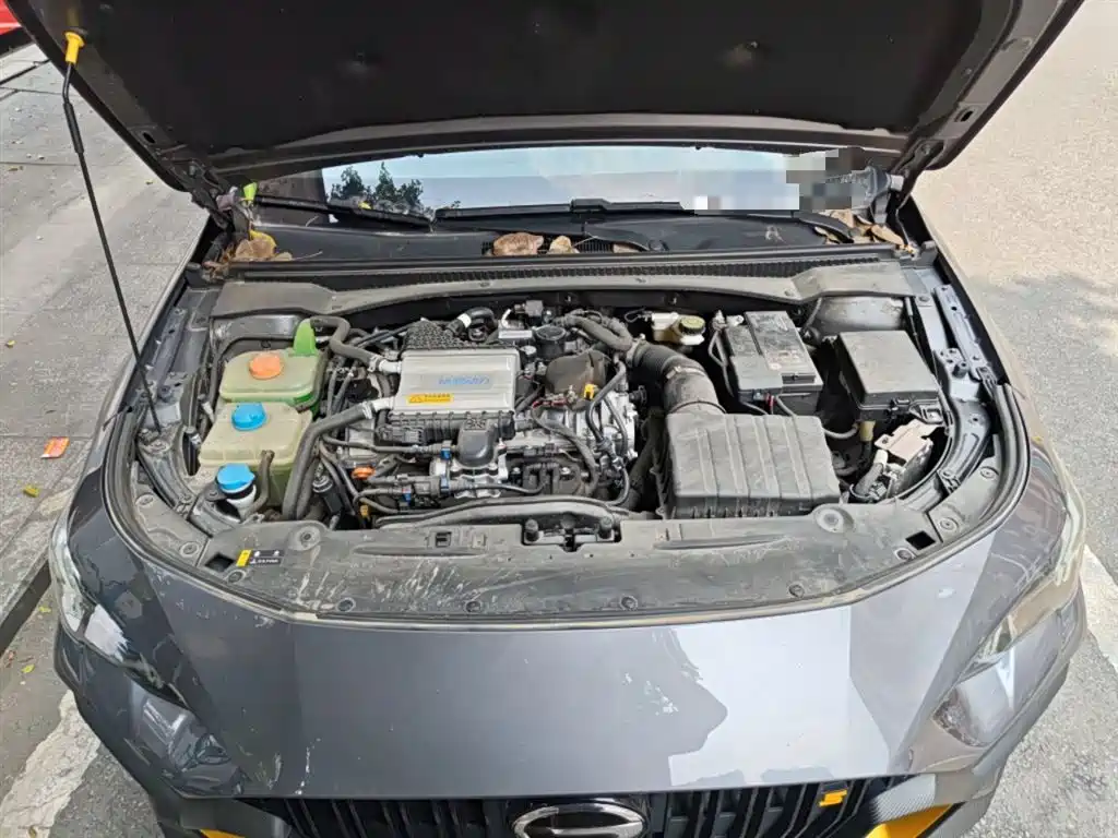 GAC Trumpchi Trumpchi Emkoo 2023 270T DCT J15 Edition фото 11