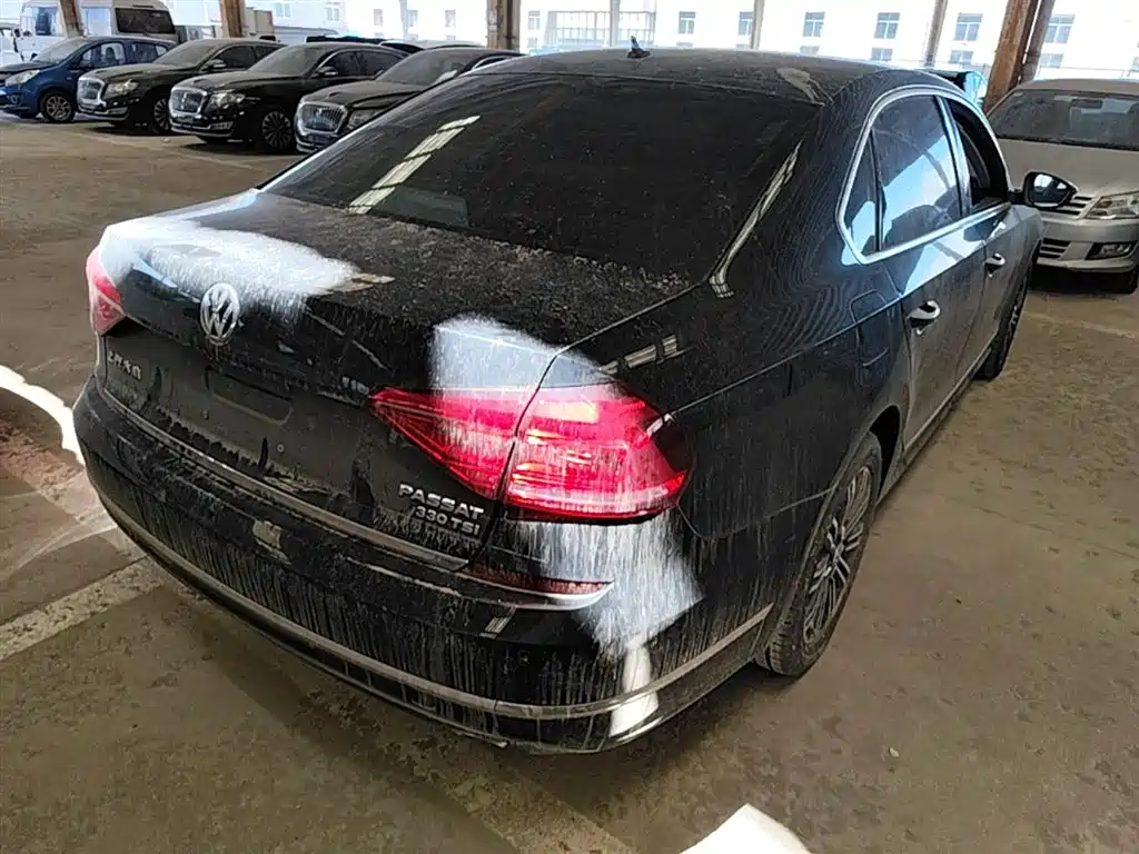 Volkswagen Passat 2017 330TSI DSG Luxury фото 12