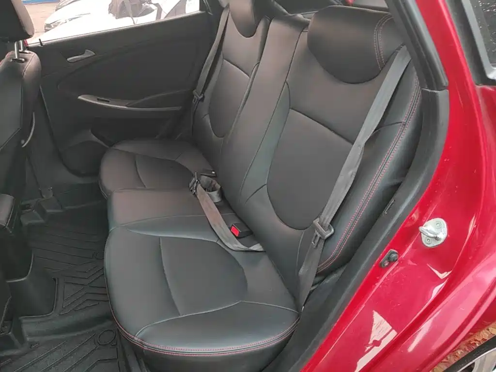 Photo 17 - Hyundai Reina