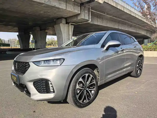 WEI PAI WEI BRAND VV7