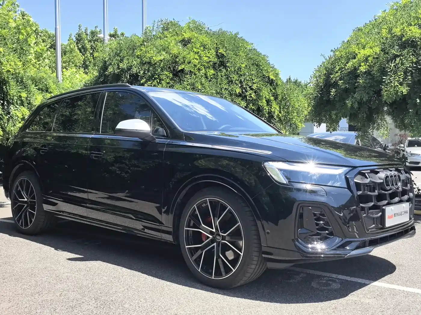 Audi Q7 2025 55 TFSI quattro S line Black Warrior фото 3