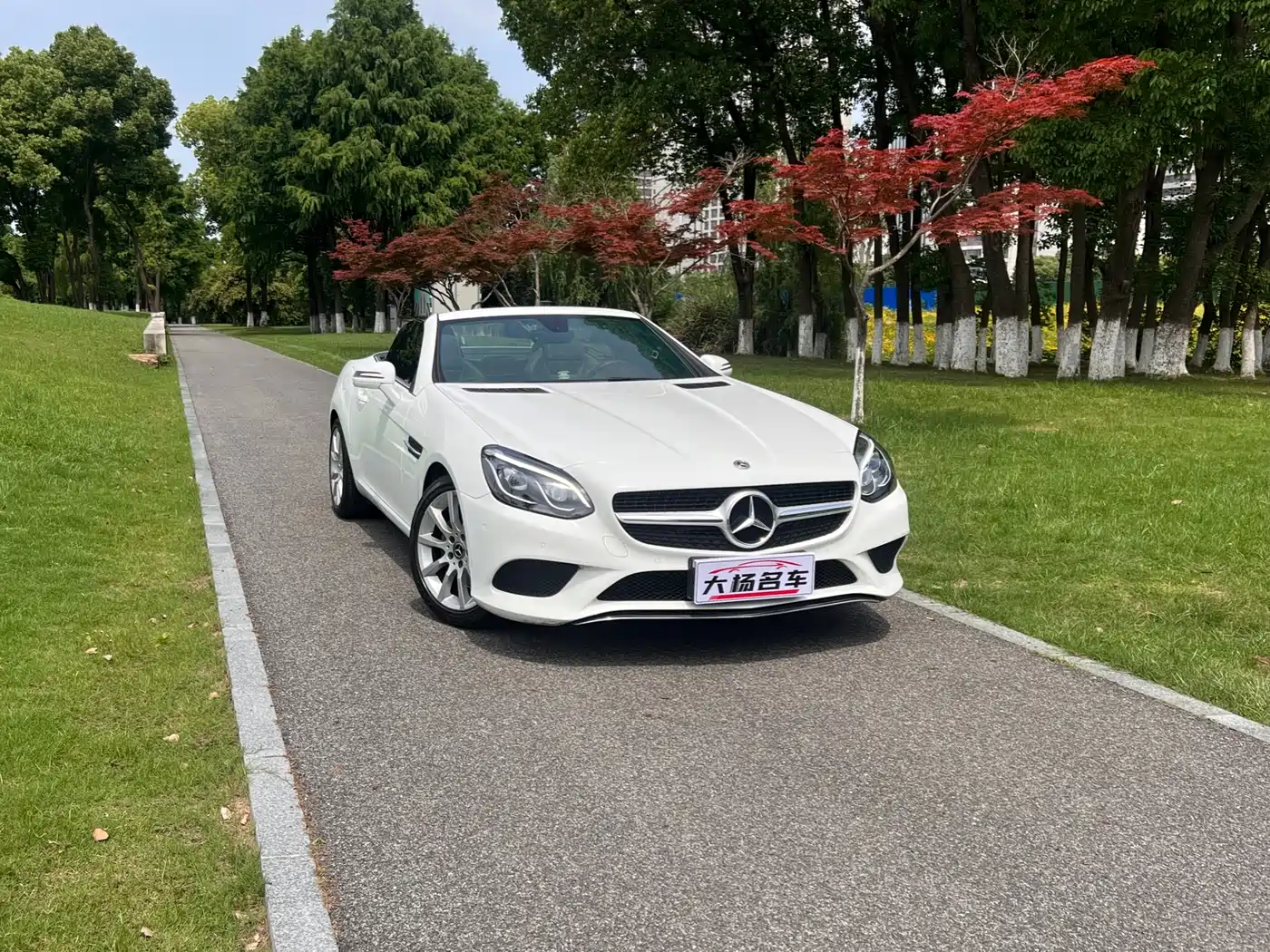 Mercedes-Benz SLC 2018 SLC 260 Dynamic фото 7