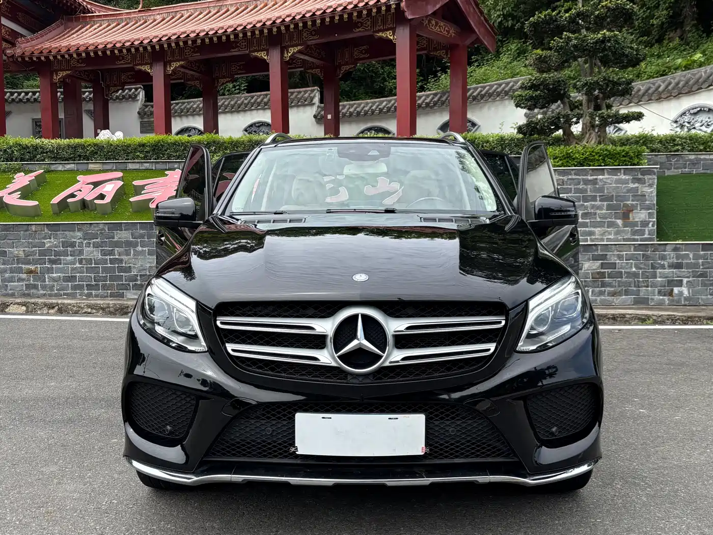 Mercedes-Benz GLE 2015 GLE 320 4MATIC фото 2