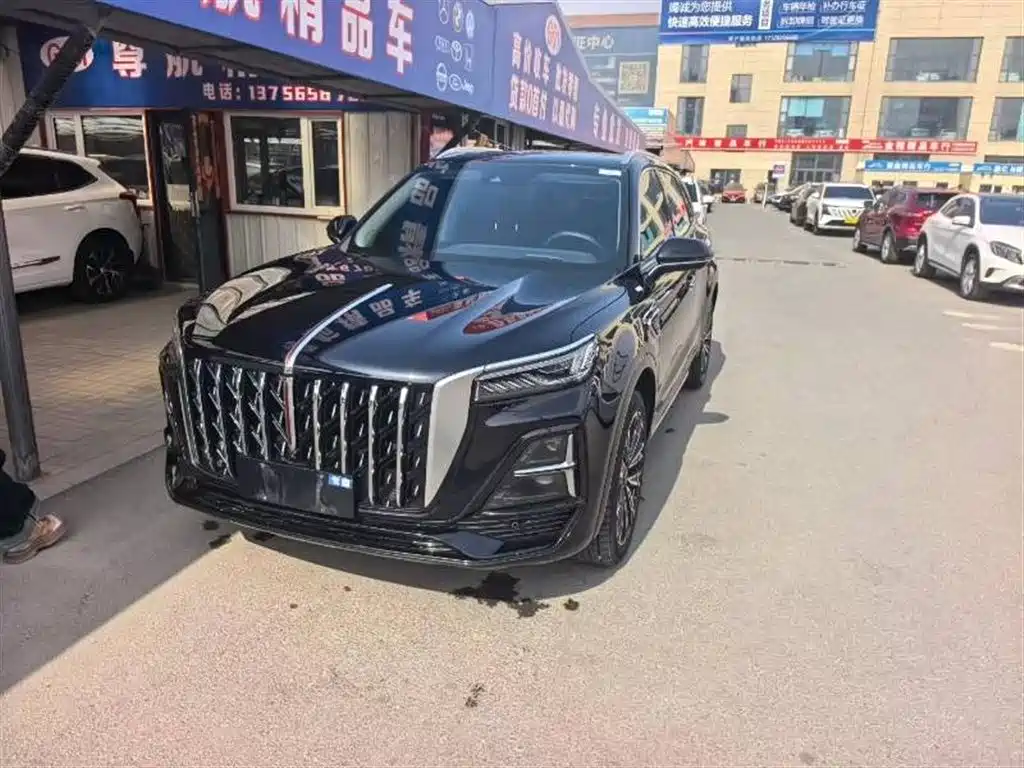 Hongqi HS5 2023 2.0T 4WD Flag Leader Pro фото 3