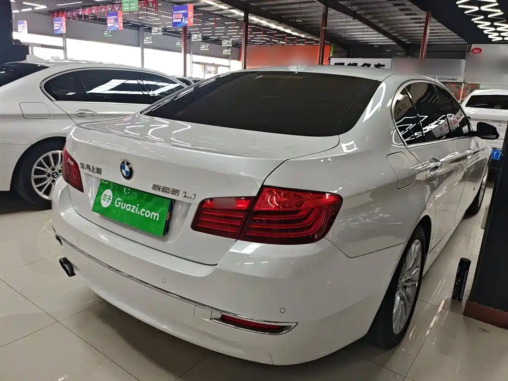 BMW 5 Series 2014 525Li Luxury Design Package фото 7